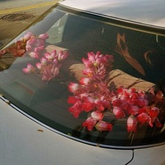 graveyard of roses