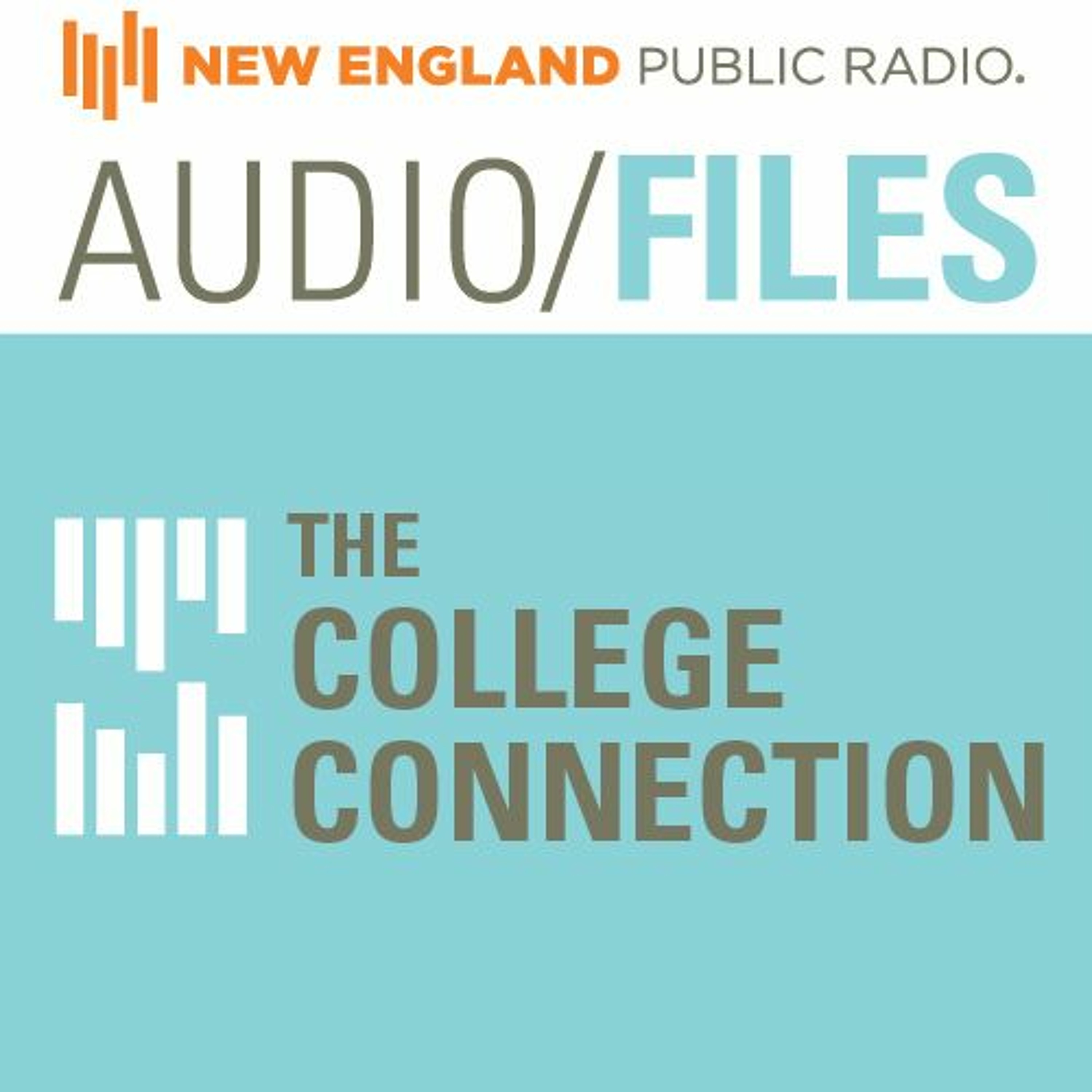 Visiting Author Series - Annie Liontas and Jeff Parker at UMass Amherst episode artwork