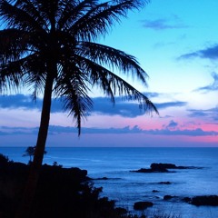 Traditional Hawaiian Music
