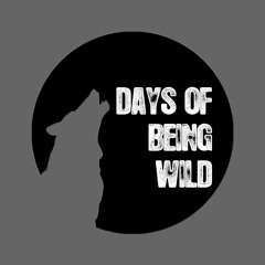 Premiere: Fairmont - Obsidian (Heretic Remix) [Days Of Being Wild]