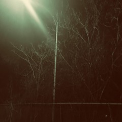 hnstly