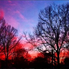 As The Footsteps Die Out Forever (Streetlight Manifesto cover)