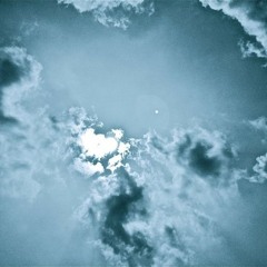 SKUNK(feat.Liberal & Cripple) / candlelights stardust