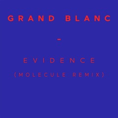 Grand Blanc - Evidence (Molecule Remix)
