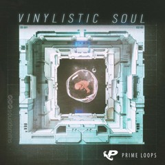 Vinylistic Soul ► DOWNLOAD FREE SAMPLES!