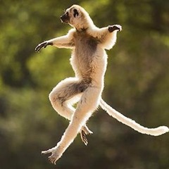 Everybody wants to rule the world cover