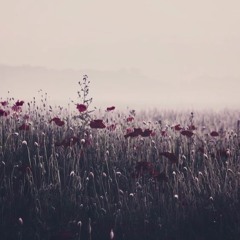 Better Off Dead (Sleeping With Sirens Cover)