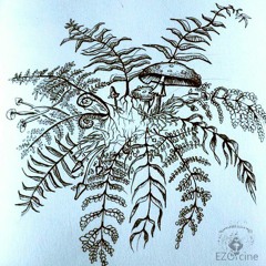 Rising Appalachia and The Human Experience - Soul Visions [Full Album]