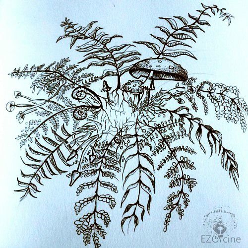 Rising Appalachia and The Human Experience - Soul Visions [Full Album]