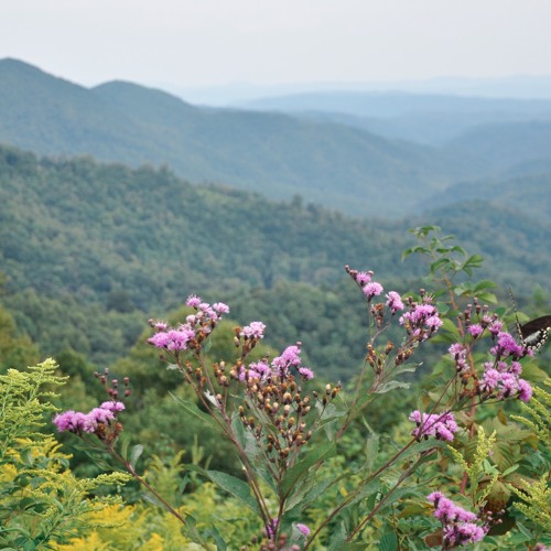 If I Ever Left This Train (with Martin Lucas and Oorlab)