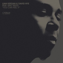 Liam Keegan & David Nye  Ft Eric Redd - You Can Feel It (Radio Edit)