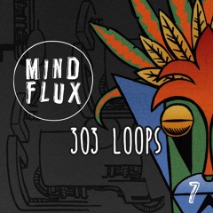 Mind Flux - 303 Loops - Demo