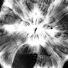 Synthetic Flue | Fa Cesario @laMembrane