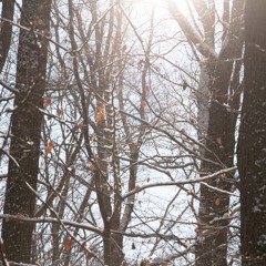 Ene Mene Muh (FAWM 2016)