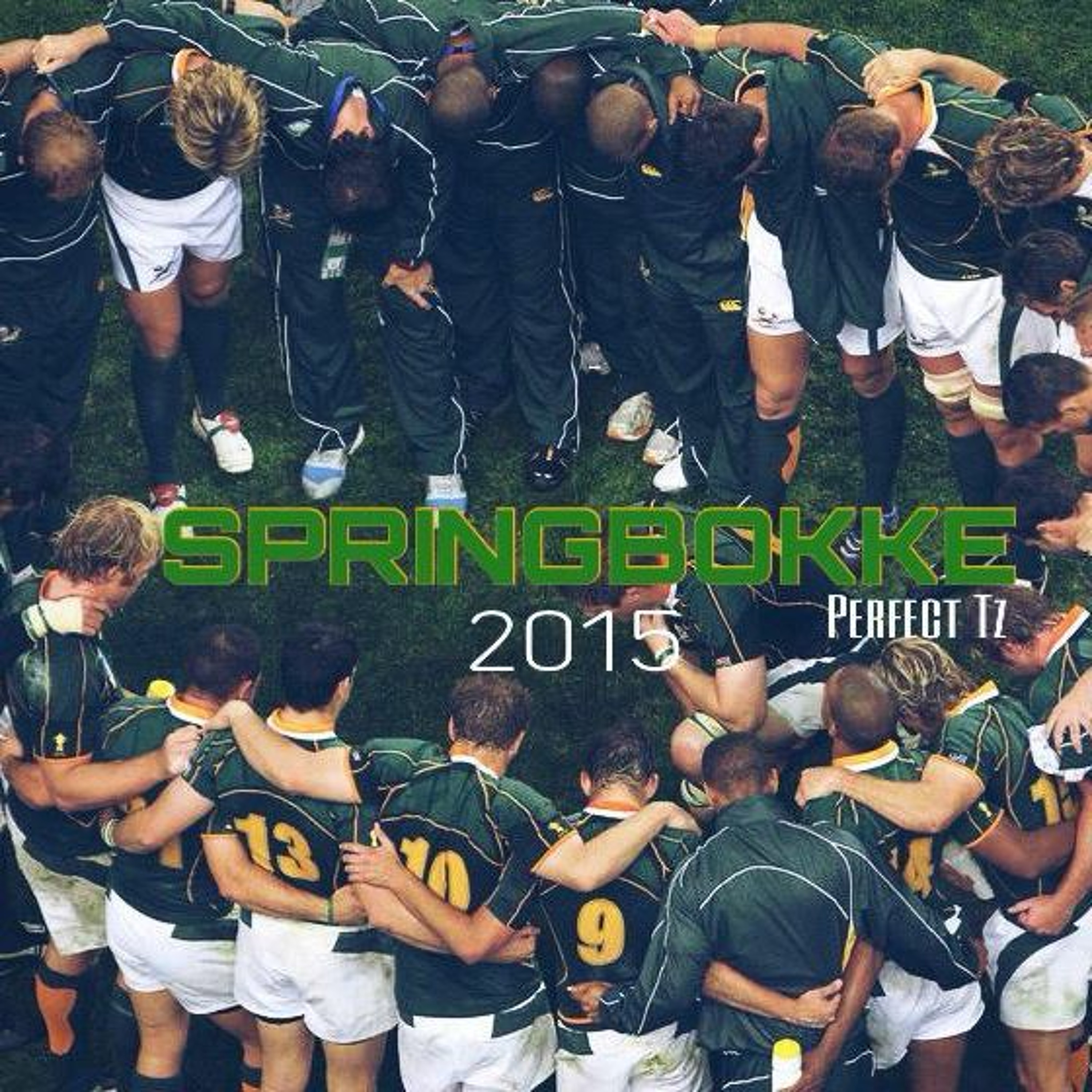 Springbok Mastered Revised episode artwork