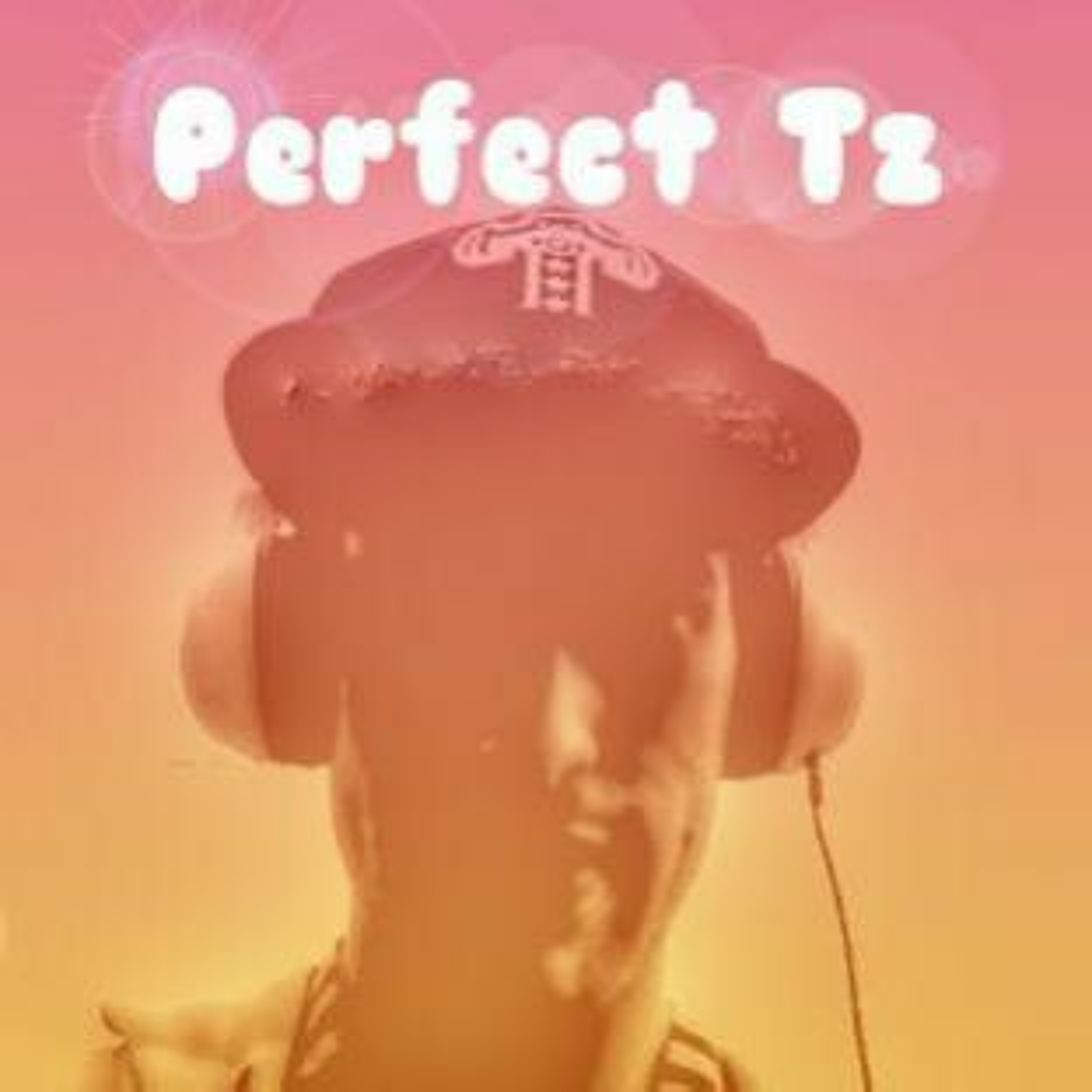 Shake it off -Perfect Tz episode artwork
