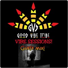 GVT VIBE SESSIONS 019 - Techno Guest Mix by DJ/Producer Nicolas Ryan