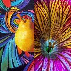 Kwaśny Owoc/Piękny Kwiat