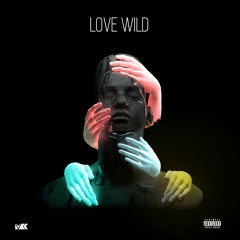 1. Intro (Love Wild) ( Prod. By Coolibop )