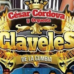 Evidencias y Solo con mi soledad Claveles de la Cumbia Remix