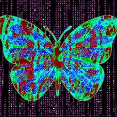 Monarch Zero