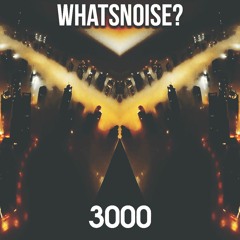 3000