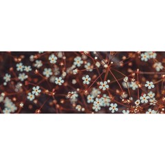 Daybreak (Instrumental)