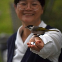 20160304【好因緣得好結果】淨飯王與迦留陀夷的故事