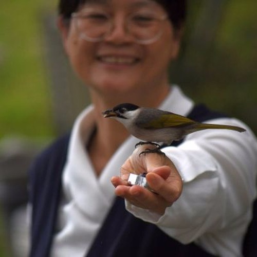 20160304【好因緣得好結果】淨飯王與迦留陀夷的故事