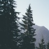 Drake Furthest Thing Patrick Harmon Flip Free Dl Mp3