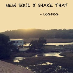 New Soul x Shake That - Logdog (Girl Talk inspired)