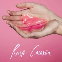 Rosa Cadaver - Vintage Otoño