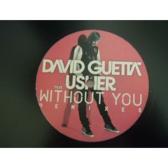 David Guetta - Without You (Ben Delaney Bootleg) free dl