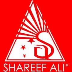 13 Mental Flight (Feat. Shareef A