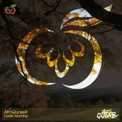 AfroQuakeR - Easter Morning [Flawless Digital Recordings]
