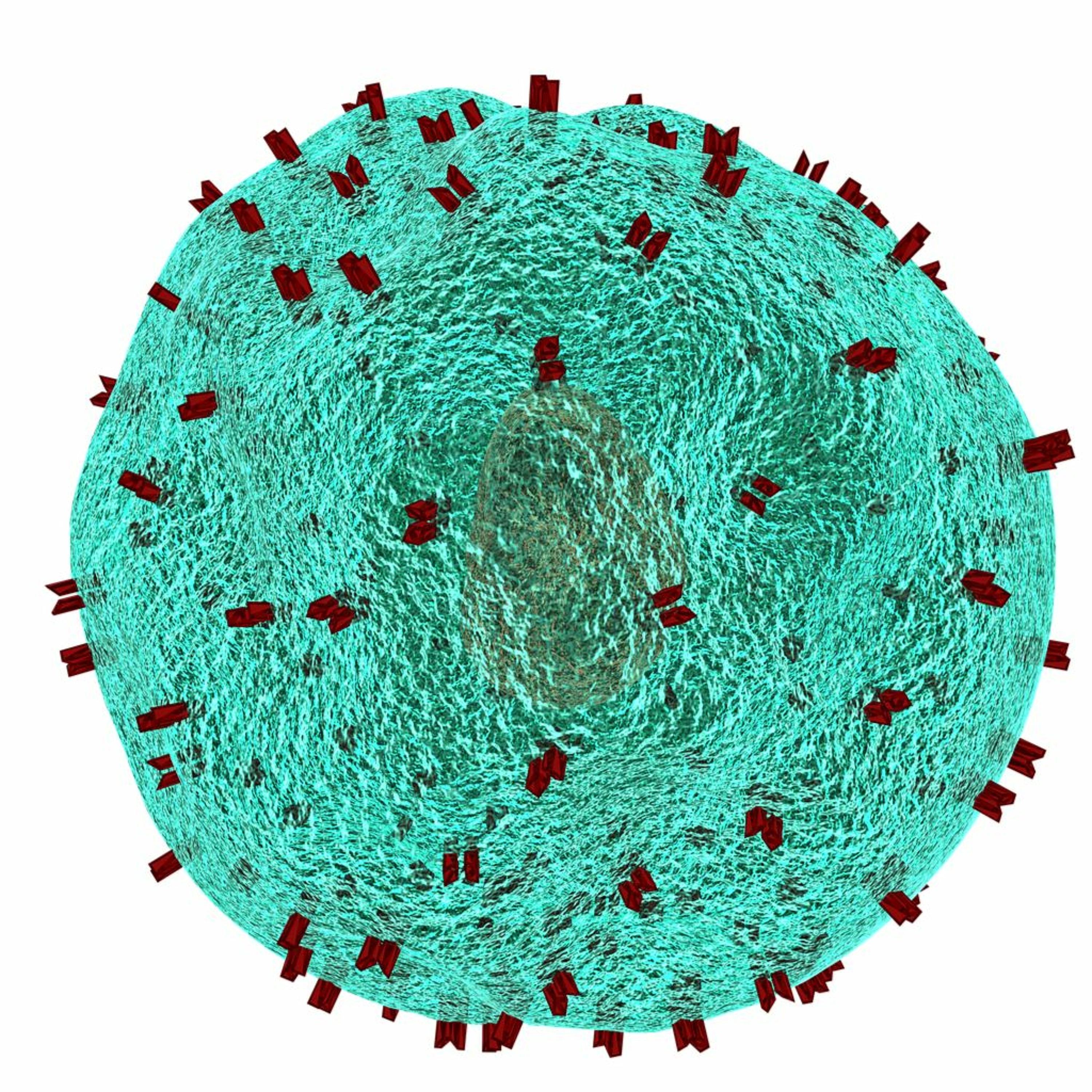 BioEnciclopedia