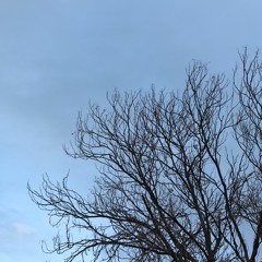 Smell Like Teen Spirit - Leo B Version