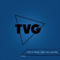 PJU - Say You Love Me Ft. River (Arthur Younger Remix)