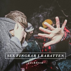 Karlavagnen