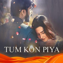 Tum Kon Piya - FULL AUDIO OST (Urdu 1) - Rahat Fateh Ali Khan