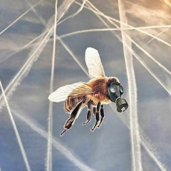 Purified (feat. Matt on drums)