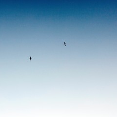 Luiz Henrique - If You Want To Be A Lover (Luiz Henrique, Oscar Brown, Jr.)