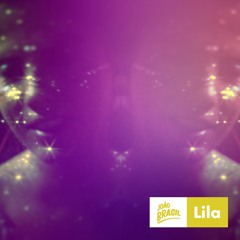 Não Fui Eu, Foi O Carnaval (Lila & João Brasil)