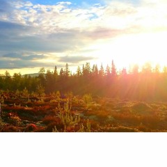 Olaf Tupik Feat. Vilse - Turn The Lights Down Low