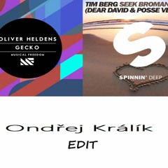 Gecko Bromance (Oliver Heldens - Gecko And Tim Berg - Seek Bromance MashUp 2014)