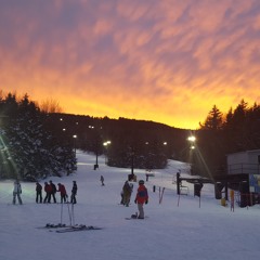 Snowshoe