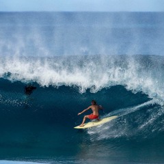 SURF