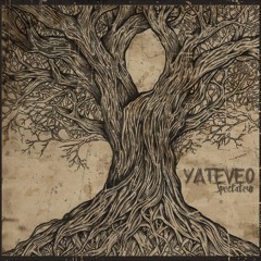 Early Birds ('Yateveo' First Album out on 14th March)