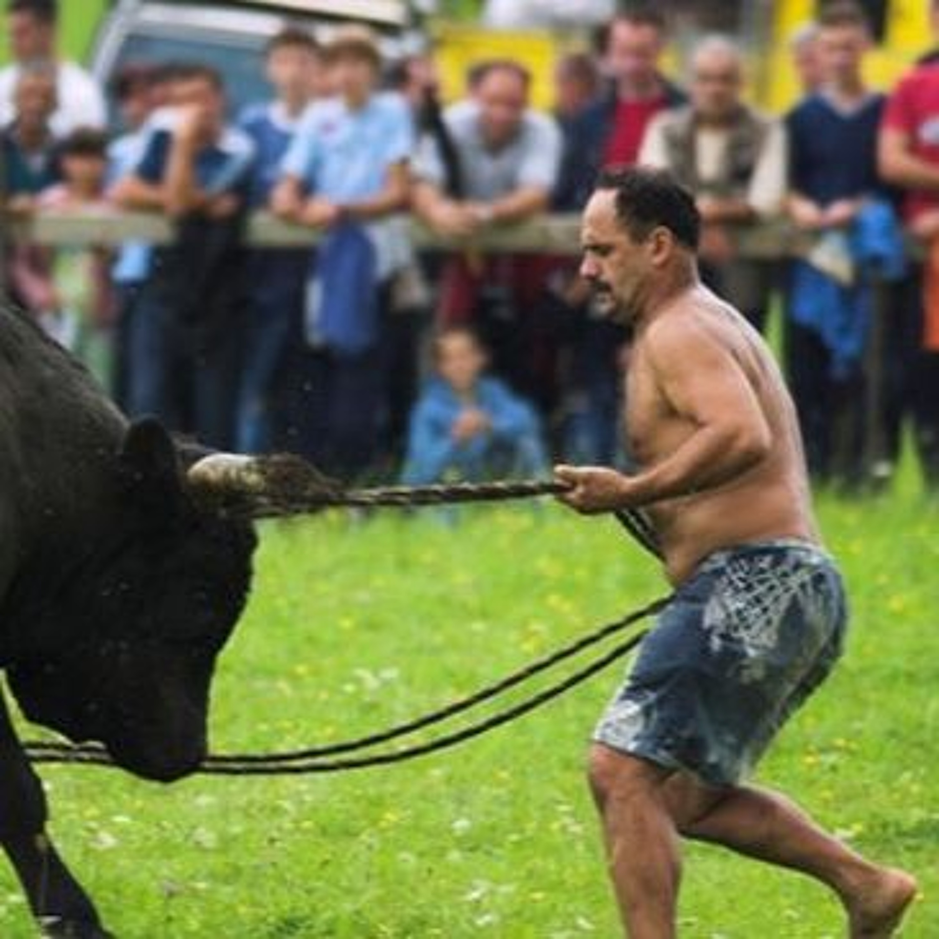 Peta Kolona