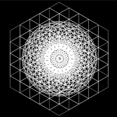 NCRDS024 // Délavé - Fool